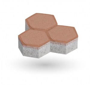 SALMÓN